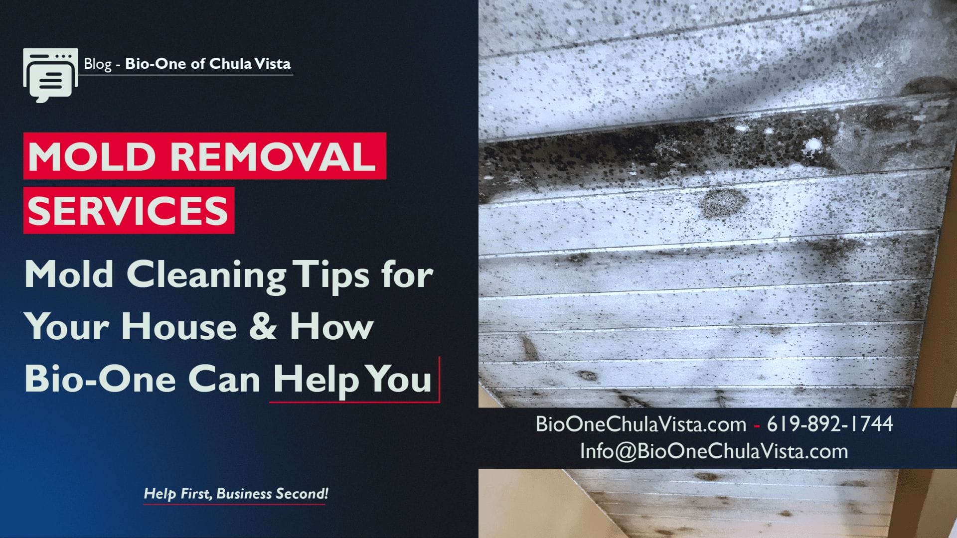 Mold Cleaning Tips for Your House & How Bio-One Can Help You