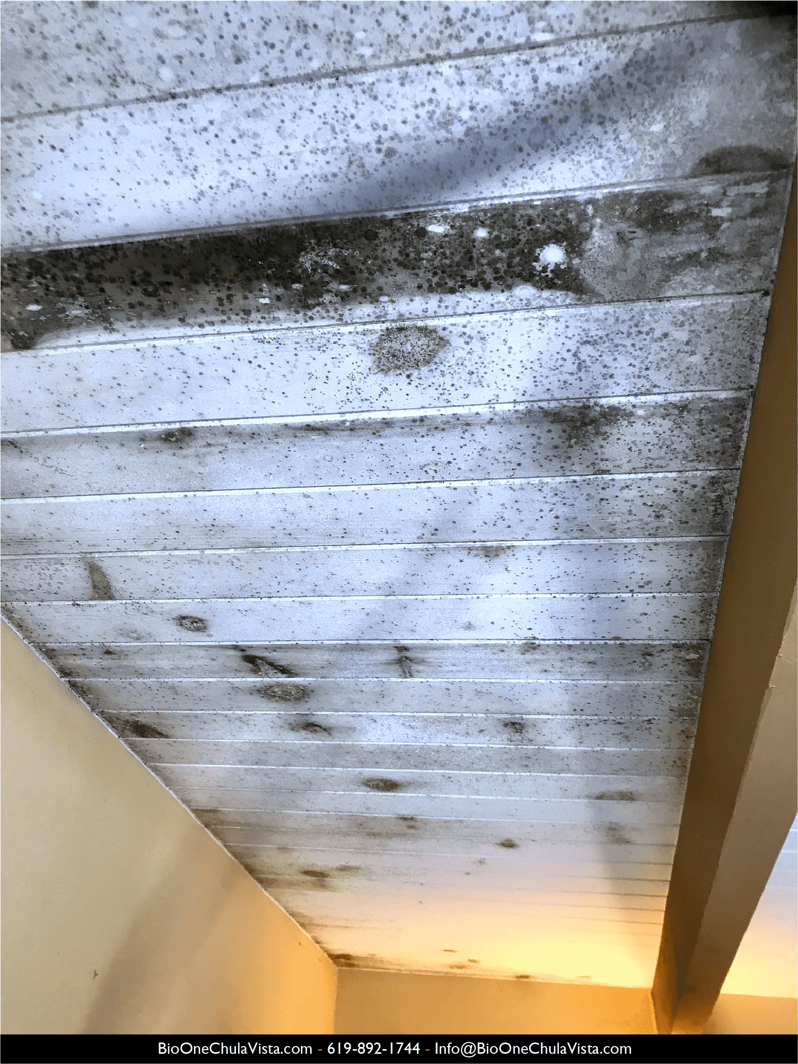 Image shows different angle of black mold in a bathroom ceiling.