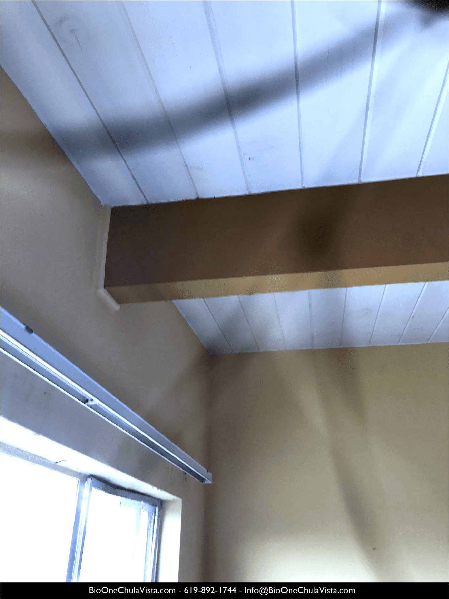 Images shows clean ceiling after Bio-One specialists removed black mold from it.