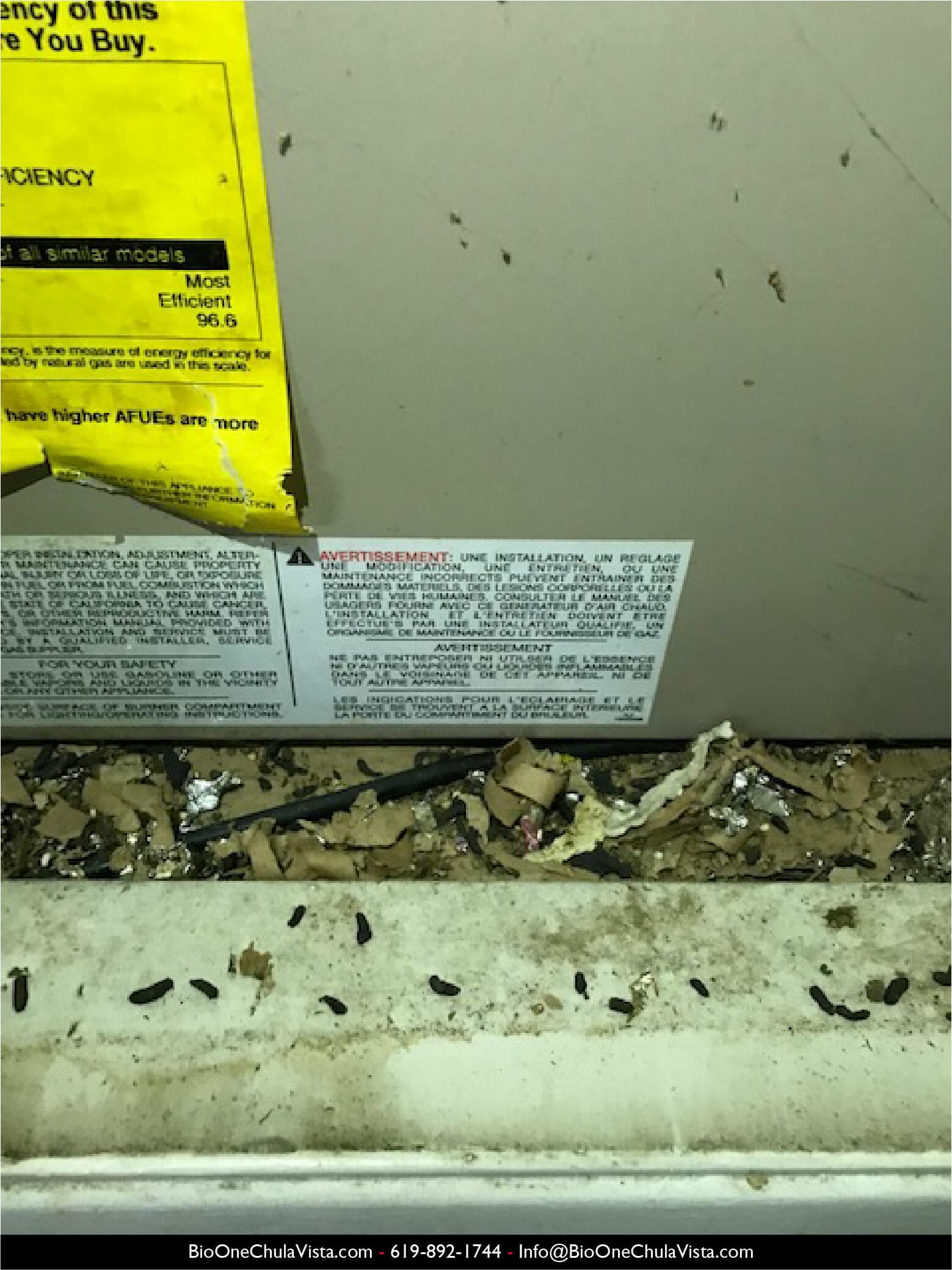 Rodent droppings in HVAC unit. Photo credit: Bio-One of Chula Vista.