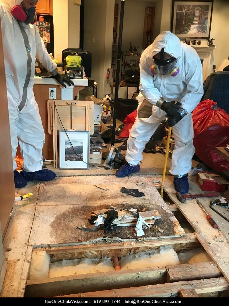 Bio-One Chula Vista - Damage restoration technicians mold