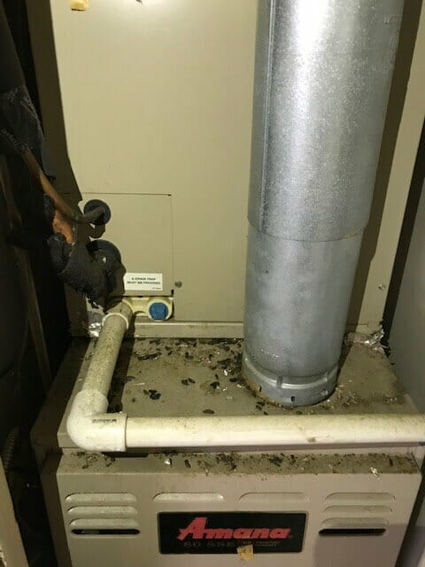 Image shows rodent droppings in HVAC System (heater).