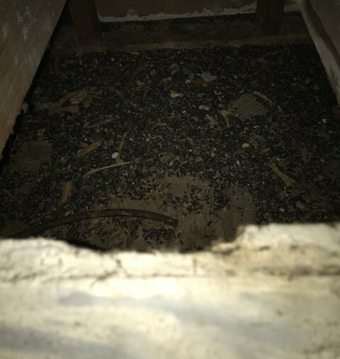 Rodent urine and droppings in a crawl space, near the HVAC system.
