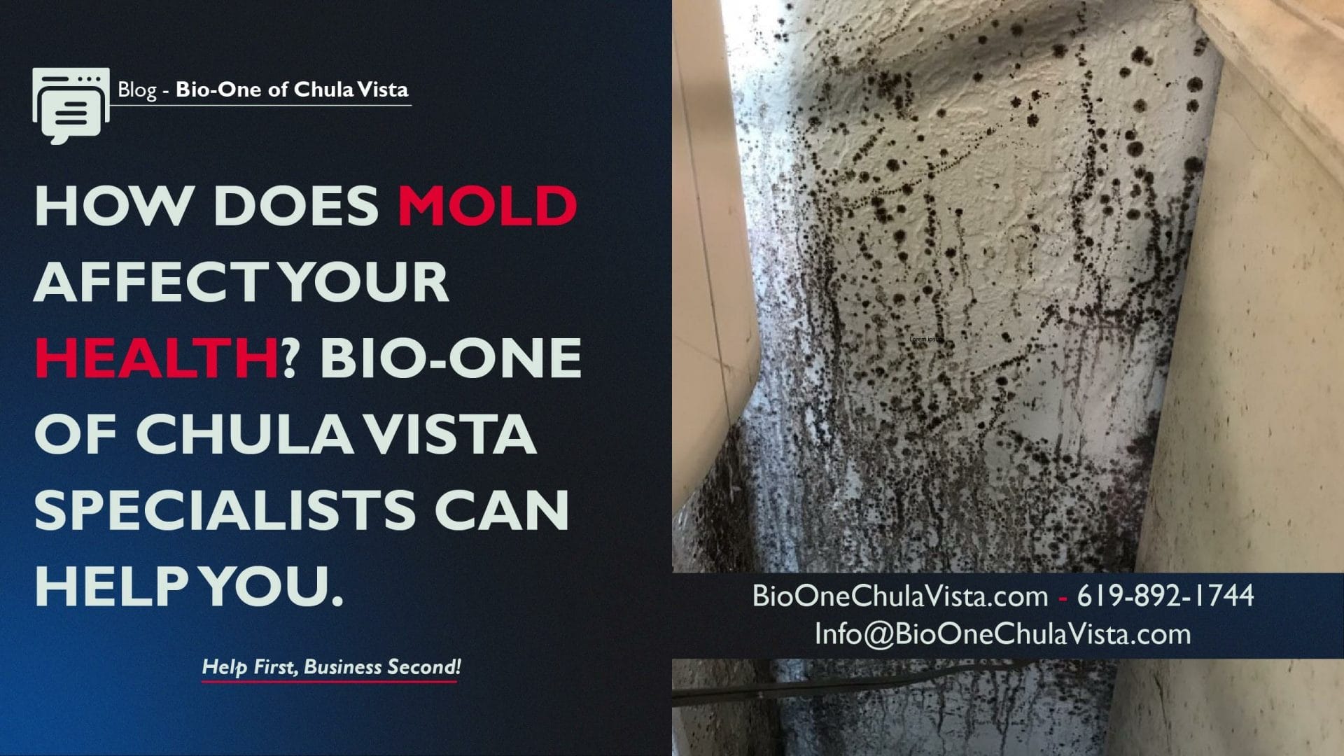 How does mold affect your health? Bio-One of Chula Vista specialists can help you.