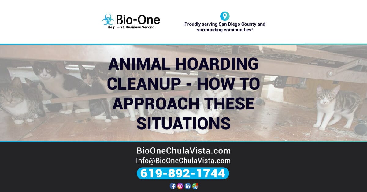 Animal Hoarding Cleanup - How to Approach These Scenarios
