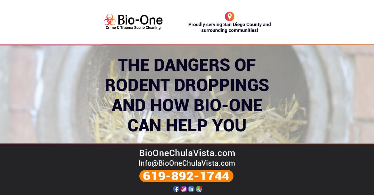 The Dangers of Rodent Droppings and How Bio-One Can Help you