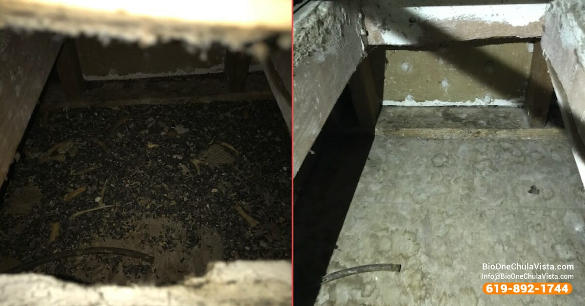 Rodent droppings cleanup - Before and after.