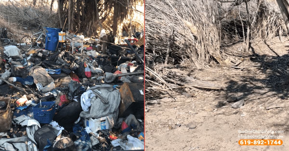 Homeless encampment cleanouts - Before and after. Bio-One of Chula Vista.