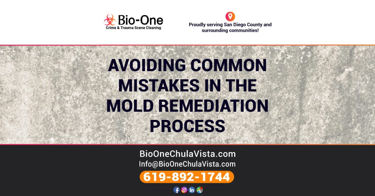 Avoiding Common Mistakes in the Mold Remediation Process