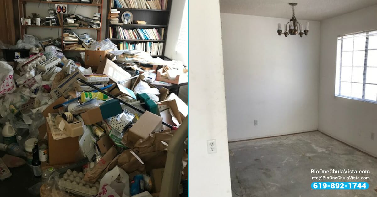 hoarder help cleanup