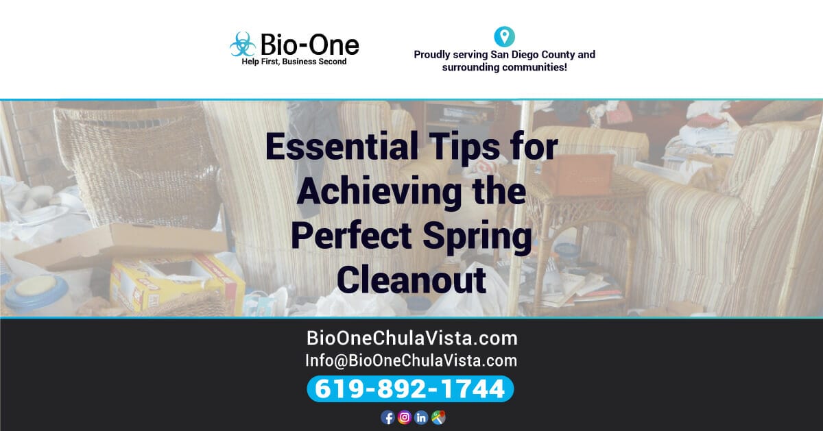 Essential Tips for Achieving the Perfect Spring Cleanout