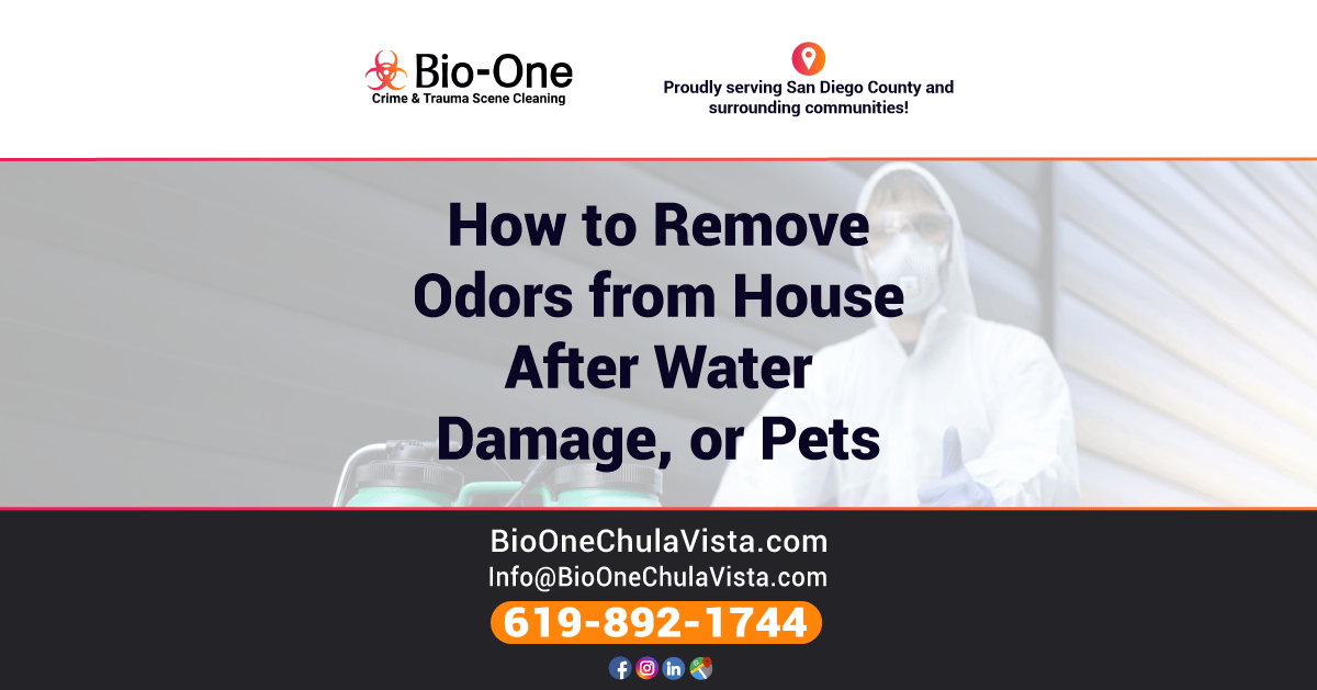 How to Remove Odors from House After Water Damage, or Pets