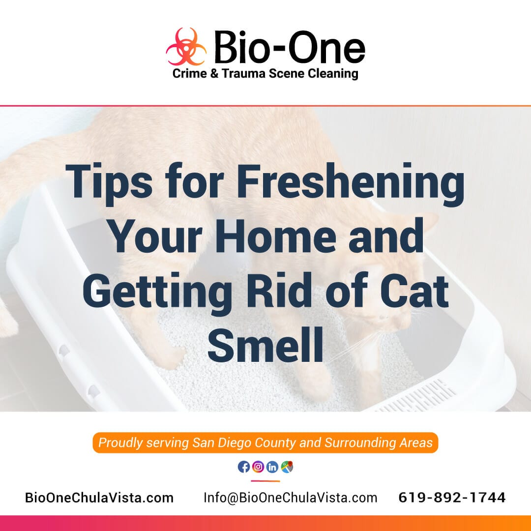 Tips for Freshening Your Home and Getting Rid of Cat Smell - Bio-One of Chula Vista