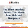 The Silent Invaders Protect Your Home from Mold and Dampness