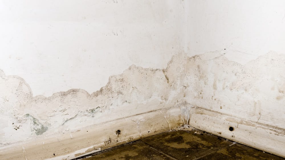 Flooding rainwater or floor heating systems, causing damage, peeling paint and mildew