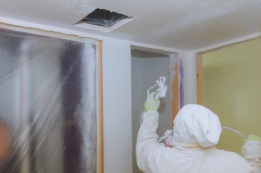 mold and dampness remediation aftermath restoration